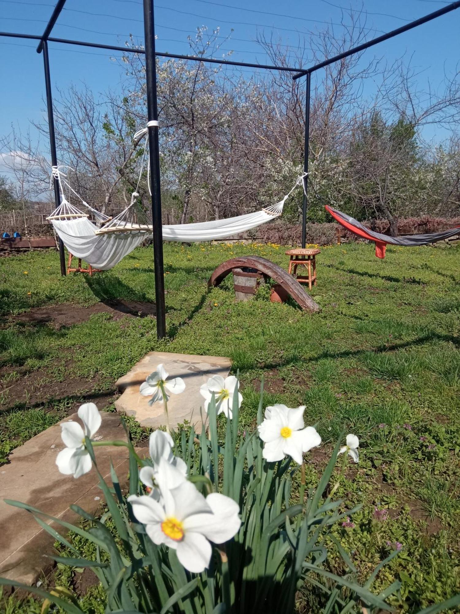 Guest House Art Eco Land Ganchovets المظهر الخارجي الصورة